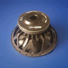 Woofer pollici master usato  Ziano Piacentino