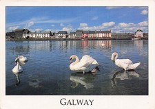 Irlande galway claddagh d'occasion  France