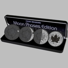 2018 kanada silver gebraucht kaufen  Eching