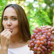 Jährige weinrebe weintraube gebraucht kaufen  Ludwigshafen am Rhein