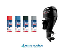 Vernice spray bomboletta usato  Alezio