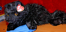 Classic onyx black for sale  Toledo