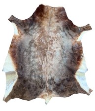 Red deer hide for sale  Fort Worth