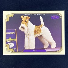 2024 allen ginter for sale  Marlton