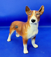 British bull terrier for sale  CULLOMPTON