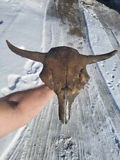 Bison skull cap for sale  Egan