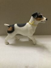 Jack russell dog usato  Spedire a Italy
