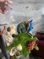 Fish tank ornaments for sale  HARLOW