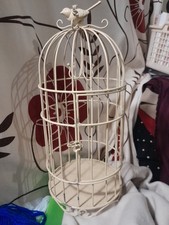 Super lovely bird for sale  UK