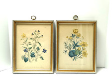 Pair antique botanical for sale  Norwalk
