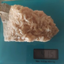 Beautiful large pink for sale  Bell