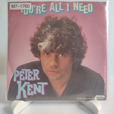 Peter kent you gebraucht kaufen  Büren
