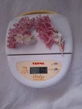 Branches corail rose d'occasion  Marseille I