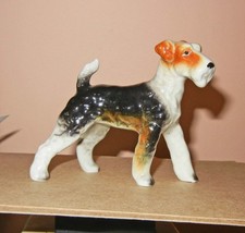 Airedale terrier bone for sale  New Castle