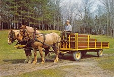 1970 new jersey for sale  Fenton