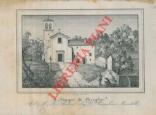 Bologna vergato corty usato  Italia