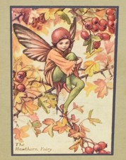 Cicely mary barker for sale  DORCHESTER