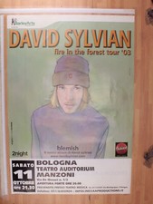 Poster concerto david usato  Monte San Pietro