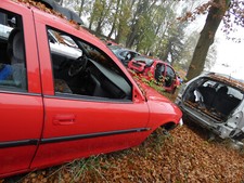 Tür vectra j96 gebraucht kaufen  Deutschland