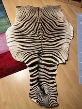 Echtes zebrafell afrika gebraucht kaufen Echtes zebrafell afrika gebraucht kaufen  Göttingen