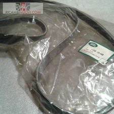 Cinghia poly 7pk232 usato  Italia