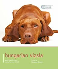 Hungarian vizsla dog for sale  UK