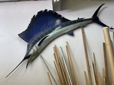 Sailfish mount for sale  Manhattan Beach