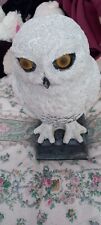 Garden owl ornament for sale  PAIGNTON