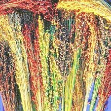 broom corn for sale broom corn for sale Wichita