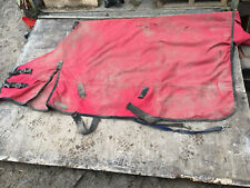 Rhinegold turnout free for sale  SCARBOROUGH