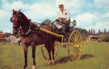 Horse cart buggy for sale  MUSSELBURGH