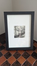 Framed print woodcut for sale  SURBITON
