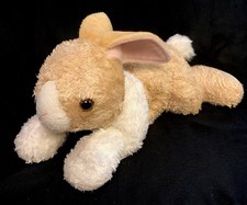 Aurora dutch bunny for sale  Orangevale