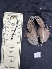 Grey peacock pheasant for sale  Oakville