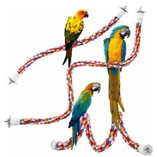 Pet bird parrot for sale  HATFIELD