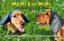 Dogs ear protectors for sale  CAMBERLEY