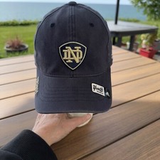 Gold fighting irish for sale  Stevensville