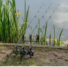 Greys flite 10ft for sale  GUILDFORD