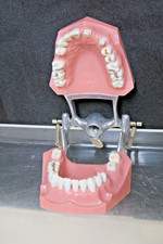 Columbia dental dentoform for sale  Morton Grove