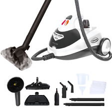 Steam cleaner sanitizing for sale  Charlotte