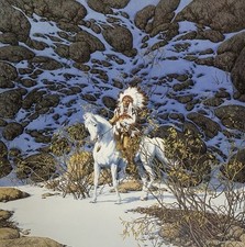 Bev doolittle eagle for sale  Bensenville