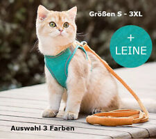 Katzengeschirr hundegeschirr l gebraucht kaufen Katzengeschirr hundegeschirr l gebraucht kaufen  Linz