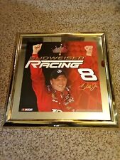 dale earnhardt jr budweiser mirror for sale  Staunton