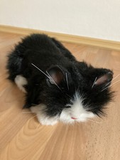 Furreal friends katze gebraucht kaufen  Freyung