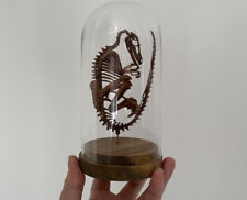 pleo dinosaure d'occasion pleo dinosaure d'occasion Aiglun