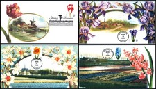2005 spring flowers for sale 2005 spring flowers for sale  Perryville
