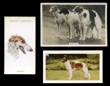 Borzoi russian wolfhound for sale  UK