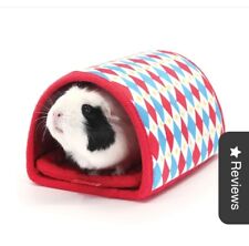 Haypigs guinea pig for sale  RAINHAM