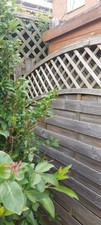 European style fence for sale  SHEFFIELD