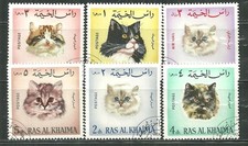 Ras khamina cats for sale  Pittsburgh